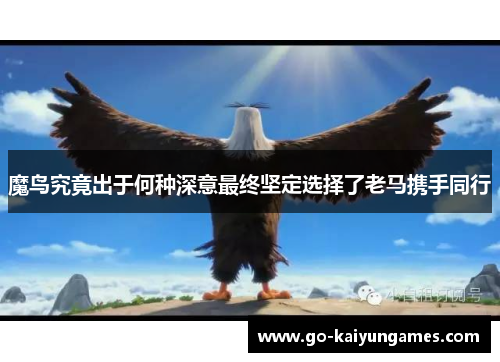 魔鸟究竟出于何种深意最终坚定选择了老马携手同行